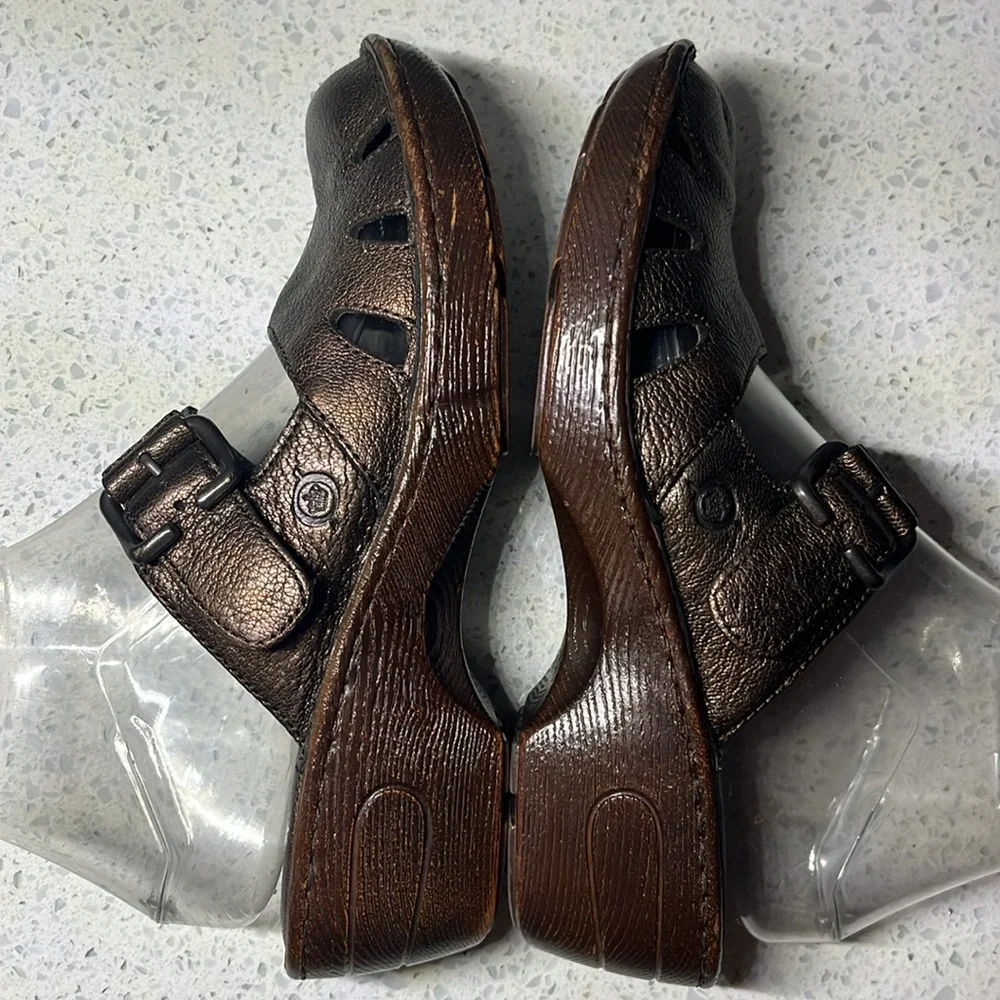 🍄🍄 Born Mules  🍄🍄 - Picture 4 of 6